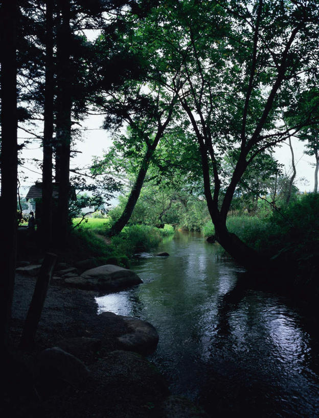 无人,家,竖图,室外,白天,正面,旅游,度假,河流,石头,美景,树林,水,植物,日本,亚洲,石子,房屋,屋子,河水,景观,水流,娱乐,楼房,住宅,树,树木,绿色,自然,享受,休闲,景色,放松,生长,成长,阴暗,自然风光,东亚,本州,本州岛,日本国,岩手,岩手县,东北地方,石块,岩石,彩图,房子