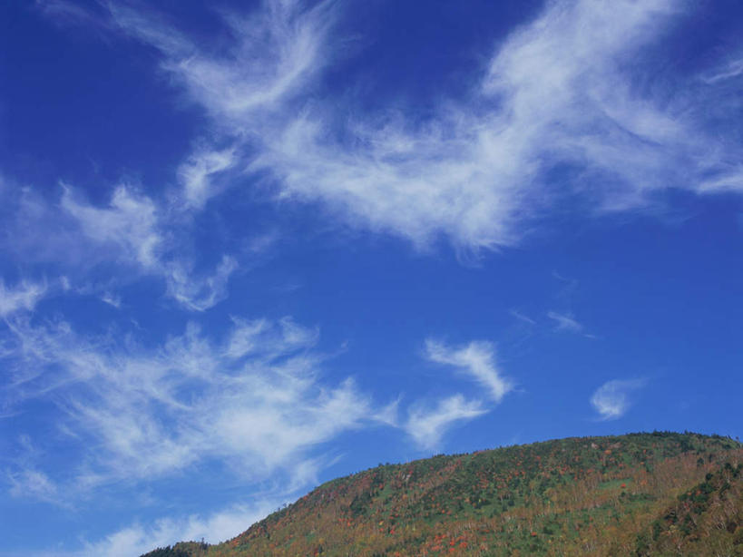无人,横图,室外,白天,仰视,旅游,度假,草地,草坪,美景,山,山脉,树林,植物,长野县,日本,亚洲,景观,山峰,云,云朵,山峦,云彩,娱乐,草,树,树木,蓝色,绿色,白云,蓝天,天空,自然,群山,天,享受,休闲,景色,放松,白桦,生长,晴朗,成长,自然风光,东亚,本州,本州岛,日本国,中部地方,长野,志贺高原,晴空,桦树,桦皮树,桦木,彩图,低角度拍摄