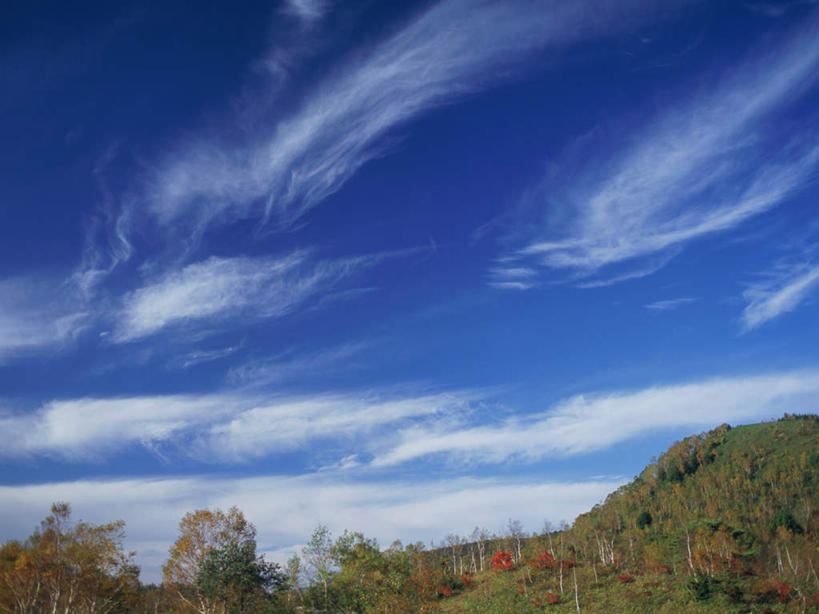无人,横图,室外,白天,正面,旅游,度假,草地,草坪,美景,森林,山,山脉,树林,植物,长野县,日本,亚洲,高原,景观,山峰,云,云朵,山峦,云彩,娱乐,草,树,树木,蓝色,绿色,白云,蓝天,天空,自然,群山,天,享受,休闲,景色,放松,生长,晴朗,成长,自然风光,东亚,本州,本州岛,日本国,中部地方,长野,志贺高原,晴空,彩图