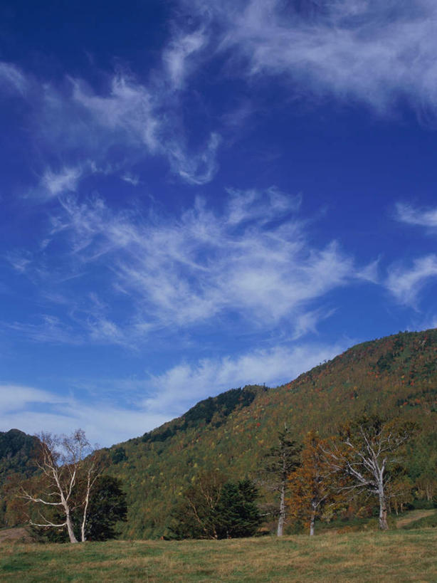 无人,竖图,室外,白天,正面,旅游,度假,草地,草坪,湖,湖泊,美景,森林,树林,水,植物,长野县,日本,亚洲,波纹,湖面,景观,水流,水面,云,云朵,涟漪,云彩,娱乐,草,树,树木,蓝色,绿色,白云,倒影,蓝天,水纹,天空,自然,波浪,湖水,天,享受,休闲,景色,放松,生长,晴朗,成长,倒映,自然风光,东亚,本州,本州岛,日本国,中部地方,水晕,长野,志贺高原,反照,晴空,彩图