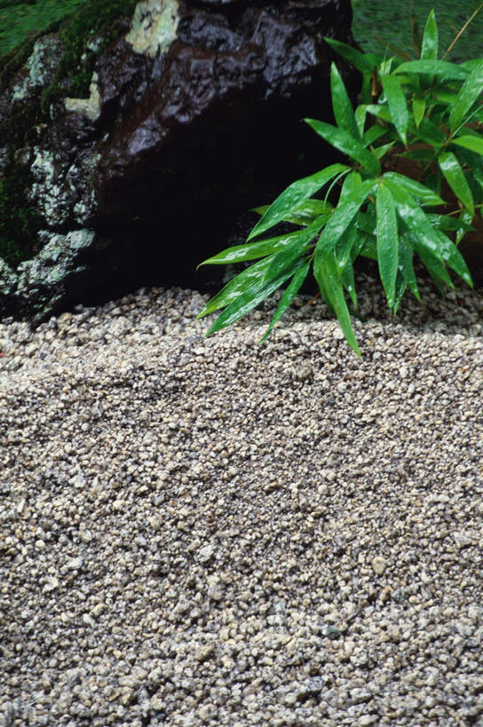 无人,花园,寺庙,竖图,室外,白天,正面,旅游,度假,花圃,石头,名胜古迹,植物,标志建筑,地标,建筑,竹子,叶子,京都,日本,亚洲,节日,遗迹,石子,竹叶,绿叶,古迹,文化,文物,娱乐,建设,古建筑,树,树木,绿色,自然,庙宇,祈祷,享受,休闲,健康,嫩叶,旅游胜地,放松,许愿,宗教,佛教,信仰,京都府,生长,成长,纪念,园林,祈求,古文明,东亚,本州,本州岛,日本国,近畿地方,大德寺,近畿,释教,平安,叶,叶片,石块,小花园,彩图,庙,寺