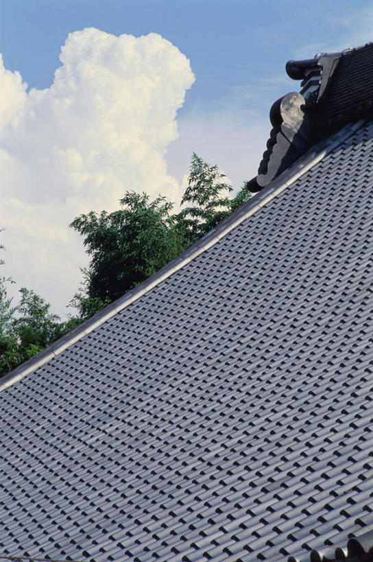 无人,寺庙,竖图,室外,白天,正面,旅游,度假,名胜古迹,植物,地标,叶子,京都,日本,亚洲,节日,遗迹,瓦片,屋顶,屋檐,云,云朵,绿叶,云彩,顶棚,古迹,文化,文物,娱乐,古建筑,檐,树,树木,蓝色,绿色,白云,蓝天,天空,自然,庙宇,天,祈祷,享受,休闲,健康,嫩叶,旅游胜地,放松,许愿,宗教,佛教,信仰,京都府,生长,晴朗,成长,纪念,祈求,古文明,东亚,本州,本州岛,日本国,近畿地方,近畿,释教,东福寺,东山区,平安,叶,叶片,晴空,彩图,庙,寺,标志性建筑