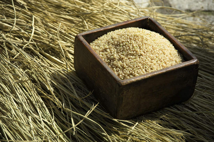 无人,横图,俯视,室外,特写,白天,农作物,石头,许多,阴影,光线,方形,木盒,石子,影子,白米,稻草,稻穗,麦穗,地面,米,大米,盒子,一个,阳光,收获,单个,获得,石块,彩图,高角度拍摄