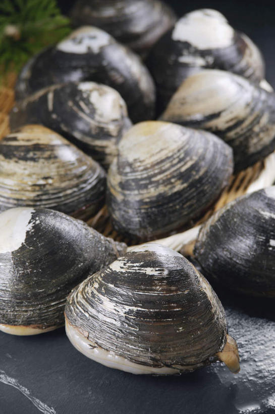 海鲜,无人,交叉,竖图,俯视,室内,特写,白天,竹子,贝壳,叶子,一排,阴影,黑色背景,竹制,整齐,装饰,编织,光线,篮子,影子,绿叶,水产,排列,竹篮,嫩叶,摄影,影棚,竹条,华丽,修饰,交织,点缀,竹制品,队列,海产品,蚌,衬托,美观,雅致,雅观,穿插,巨蚌,巨蛤,叶,叶片,贝类外壳,软体动物外壳,彩图,高角度拍摄,影棚拍摄,拍摄