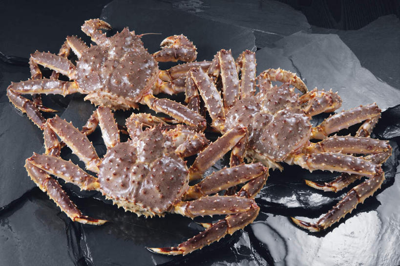 海鲜,无人,横图,俯视,室内,特写,白天,桌面,桌子,三只,阴影,黑色背景,光线,影子,大理石,帝王蟹,水产,海洋生物,摄影,影棚,水生动物,海产品,水生物,海底动物,皇帝蟹,大理石制品,彩图,高角度拍摄,影棚拍摄,拍摄