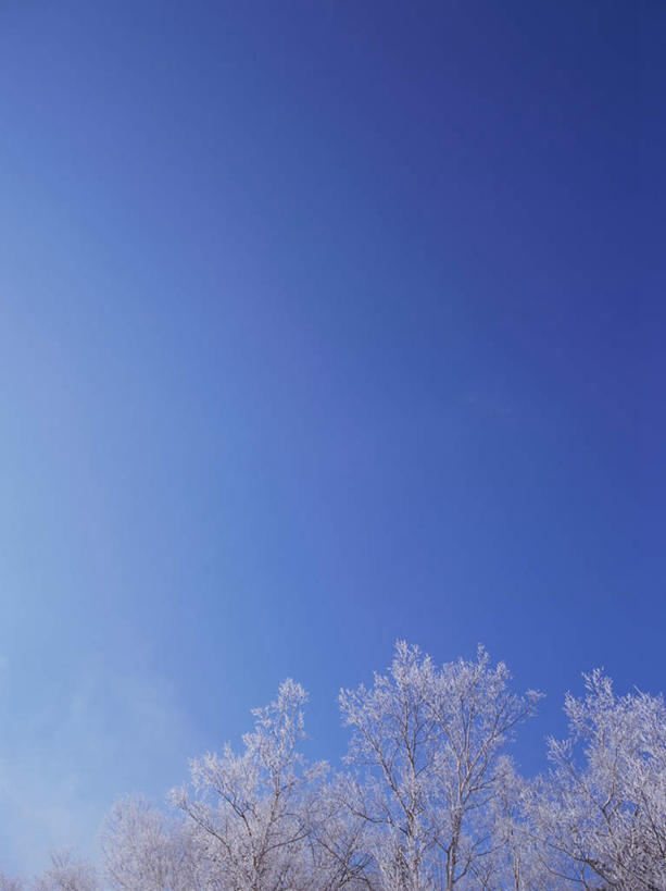 无人,竖图,室外,白天,仰视,旅游,度假,美景,雪,植物,大雪,北海道,日本,亚洲,阴影,光线,影子,冰,积雪,景观,雪景,冬季,冬天,娱乐,树,树木,蓝色,绿色,蓝天,天空,阳光,自然,天,享受,休闲,景色,放松,寒冷,生长,晴朗,成长,冰冷,自然风光,雾凇,东亚,万里无云,日本国,北海道地方,北海道岛,严寒,冰凉,酷寒,凛冽,凛凛,极冷,树挂,晴空,晴空万里,彩图,低角度拍摄