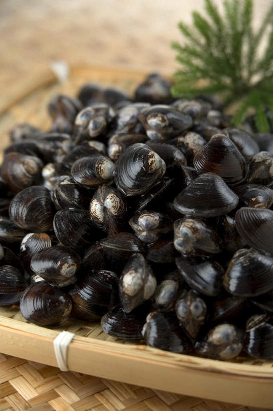 海鲜,无人,交叉,竖图,俯视,室内,特写,白天,烹饪,桌面,桌子,竹子,贝壳,一堆,阴影,堆叠,堆积,竹制,编织,光线,木制,篮子,影子,日本料理,料理,食品,水产,菜肴,美食,食物,木制品,竹篮,日式料理,日式,佳肴,竹条,堆,交织,竹制品,海产品,蚌,穿插,巨蚌,巨蛤,贝类外壳,软体动物外壳,彩图,高角度拍摄