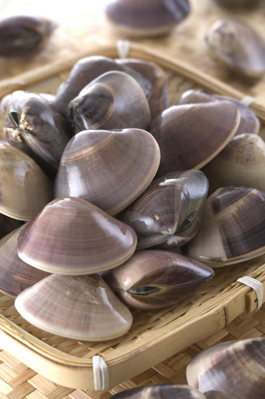 海鲜,无人,交叉,竖图,俯视,室内,特写,白天,烹饪,桌面,桌子,竹子,贝壳,一堆,阴影,堆叠,堆积,竹制,编织,光线,木制,篮子,影子,日本料理,料理,食品,水产,菜肴,美食,食物,木制品,竹篮,日式料理,日式,佳肴,竹条,堆,交织,竹制品,海产品,蚌,穿插,巨蚌,巨蛤,贝类外壳,软体动物外壳,彩图,高角度拍摄