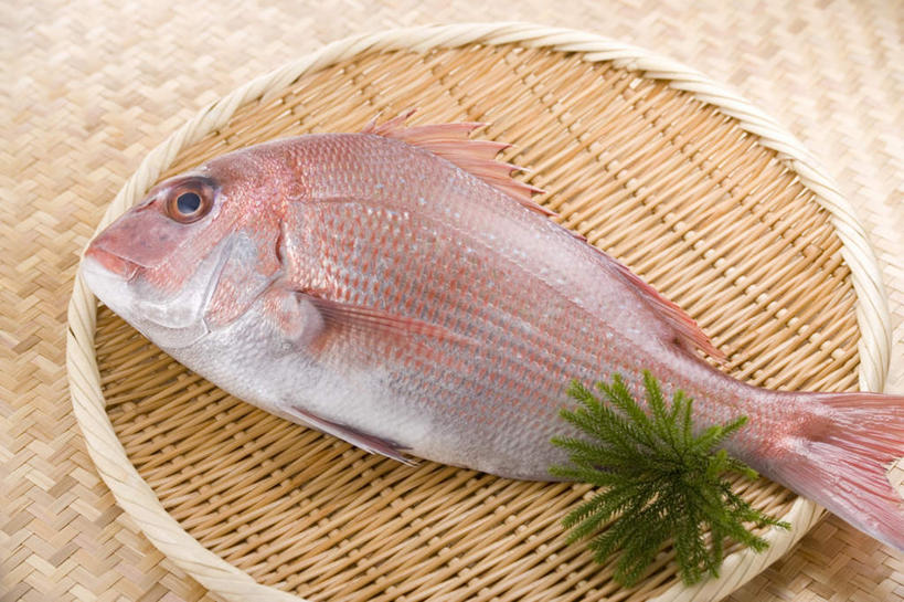 海鲜,无人,交叉,横图,俯视,室内,特写,白天,烹饪,桌面,桌子,竹子,叶子,阴影,竹制,装饰,编织,光线,木制,鱼,篮子,影子,日本料理,料理,食品,绿叶,鲷鱼,水产,菜肴,美食,食物,木制品,竹篮,日式料理,日式,嫩叶,佳肴,竹条,华丽,修饰,加吉鱼,铜盆鱼,交织,点缀,竹制品,海产品,衬托,美观,雅致,雅观,班加吉,加真鲷,穿插,叶,叶片,彩图,高角度拍摄