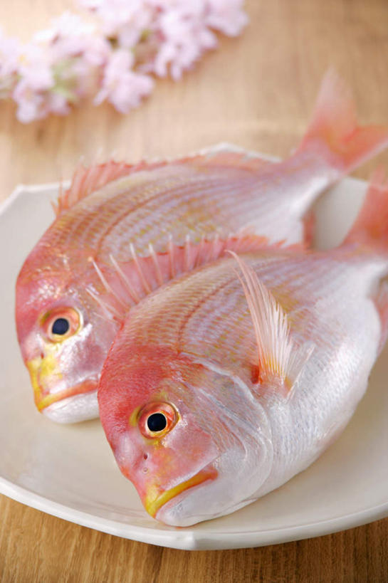 海鲜,无人,竖图,俯视,室内,特写,白天,烹饪,幸福,纯洁,桌面,桌子,樱花,阴影,光线,木制,鱼,影子,日本料理,食品,鲷鱼,水产,菜肴,美食,食物,木制品,日式料理,佳肴,等待,加吉鱼,铜盆鱼,生命,海产品,仙樱花,福岛樱,青肤樱,高尚,班加吉,加真鲷,热烈,荆桃,彩图,高角度拍摄