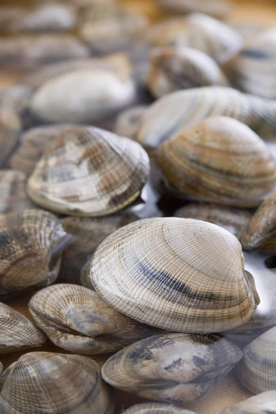 海鲜,无人,竖图,俯视,室内,特写,白天,烹饪,桌面,桌子,贝壳,许多,阴影,光线,木制,影子,日本料理,食品,水产,菜肴,美食,食物,木制品,日式料理,佳肴,海产品,蚌,巨蚌,巨蛤,贝类外壳,软体动物外壳,彩图,高角度拍摄