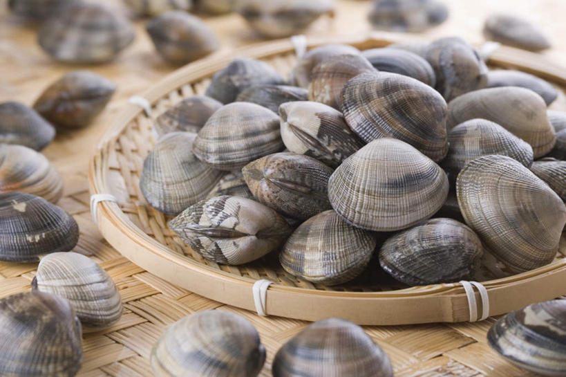 海鲜,无人,交叉,横图,俯视,室内,特写,白天,烹饪,桌面,桌子,竹子,贝壳,托盘,许多,阴影,竹制,编织,光线,木制,篮子,影子,日本料理,食品,水产,菜肴,美食,食物,一个,木制品,竹篮,日式料理,佳肴,单个,竹条,交织,竹制品,海产品,蚌,穿插,巨蚌,巨蛤,贝类外壳,软体动物外壳,彩图,高角度拍摄