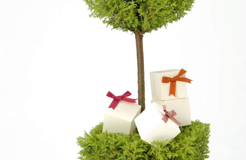 无人,横图,俯视,室内,特写,白天,白色背景,植物,桌面,桌子,静物,礼盒,礼物,阴影,装饰,光线,木制,盆栽,丝绸,丝带,影子,纸盒,缎带,盆景,绸带,盒子,绿色,自然,包装盒,木制品,礼品盒,摄影,礼品,影棚,生长,成长,华丽,修饰,点缀,衬托,美观,雅致,雅观,彩图,高角度拍摄,影棚拍摄,拍摄