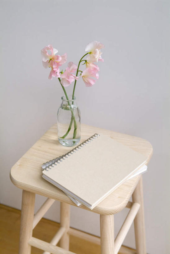 无人,竖图,俯视,室内,白天,杯子,椅子,阴影,盛开,光线,影子,香豌豆,记事本,花蕾,玻璃制品,花,花瓣,花朵,鲜花,粉色,本子,笔记本,玻璃瓶,瓶子,水杯,花苞,花蕊,吧椅,豌豆花,腐香豌豆,花豌豆,吧台椅,酒吧椅,玻璃杯,彩图,高角度拍摄