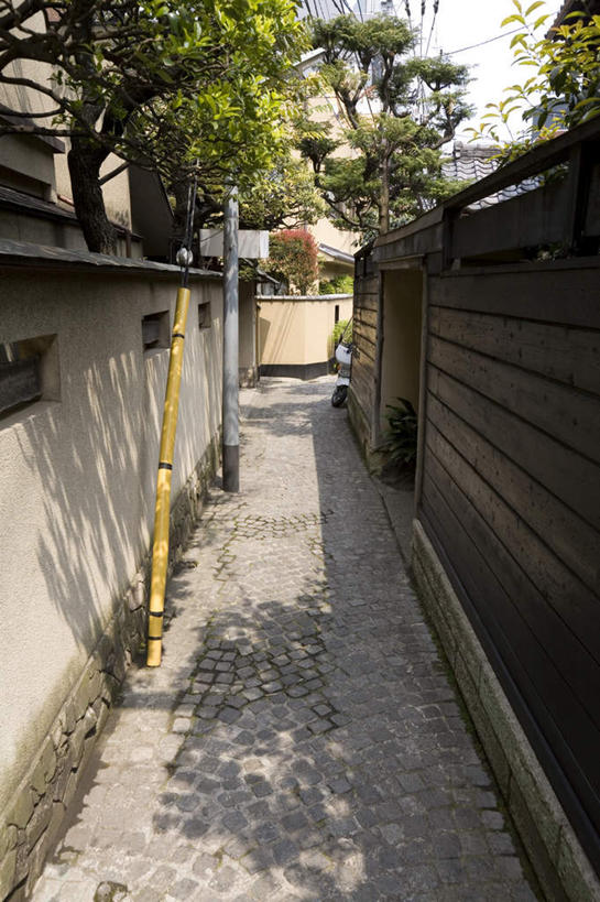 无人,家,竖图,室外,白天,正面,旅游,度假,植物,道路,路,东京,日本,亚洲,阴影,光线,影子,房屋,屋子,小路,交通,新宿,娱乐,楼房,住宅,树,树木,绿色,阳光,自然,享受,休闲,放松,生长,成长,东亚,本州,关东地方,本州岛,日本国,东京都,新宿区,县厅,东京市,神乐坂,彩图,房子