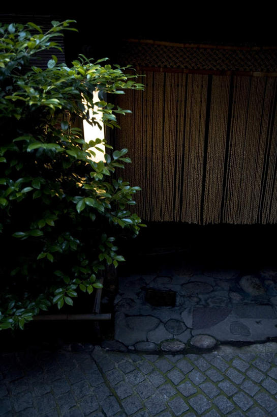 无人,家,竖图,室外,白天,正面,旅游,度假,植物,道路,路,东京,日本,亚洲,房屋,屋子,小路,交通,新宿,娱乐,楼房,住宅,树,树木,绿色,自然,享受,休闲,放松,生长,成长,东亚,本州,关东地方,本州岛,日本国,东京都,新宿区,县厅,东京市,神乐坂,彩图,房子