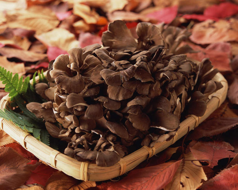 无人,交叉,横图,俯视,室内,特写,白天,竹子,蔬菜,叶子,阴影,竹制,新鲜,编织,光线,篮子,影子,菌菇,生食,食品,枫叶,绿叶,菌类,食物,竹篮,嫩叶,食用菌,摄影,有机食品,绿色食品,影棚,茶树菇,竹条,交织,竹制品,穿插,叶,叶片,彩图,高角度拍摄,影棚拍摄,拍摄