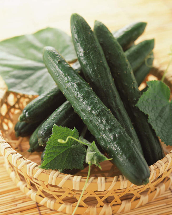 无人,交叉,竖图,俯视,室内,特写,白天,竹子,黄瓜,蔬菜,叶子,阴影,竹制,新鲜,编织,光线,篮子,影子,食品,绿叶,食物,竹篮,嫩叶,摄影,有机食品,绿色食品,影棚,竹条,交织,竹制品,穿插,叶,叶片,青瓜,胡瓜,彩图,高角度拍摄,影棚拍摄,拍摄
