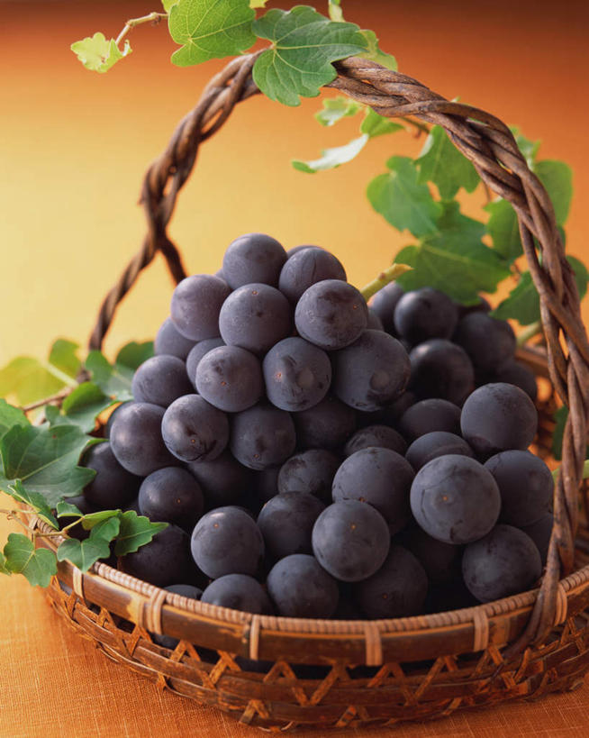 无人,交叉,竖图,俯视,室内,特写,白天,竹子,葡萄,水果,阴影,竹制,新鲜,编织,光线,篮子,影子,生食,食品,果实,食物,绿色,紫色,竹篮,摄影,有机食品,绿色食品,影棚,竹条,葡萄藤,交织,竹制品,穿插,山葫芦,蒲桃,草龙珠,彩图,高角度拍摄,影棚拍摄,拍摄