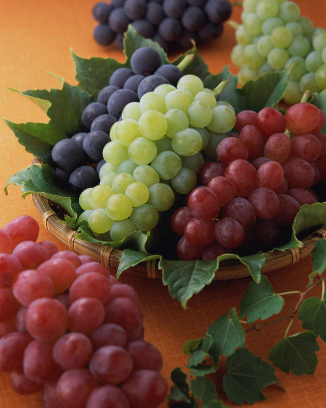 无人,竖图,俯视,室内,特写,白天,葡萄,水果,叶子,阴影,新鲜,光线,影子,竹盘,生食,食品,果实,绿叶,餐盘,食物,红色,绿色,紫色,盘子,嫩叶,摄影,有机食品,绿色食品,影棚,葡萄藤,叶,叶片,山葫芦,蒲桃,草龙珠,彩图,高角度拍摄,影棚拍摄,拍摄