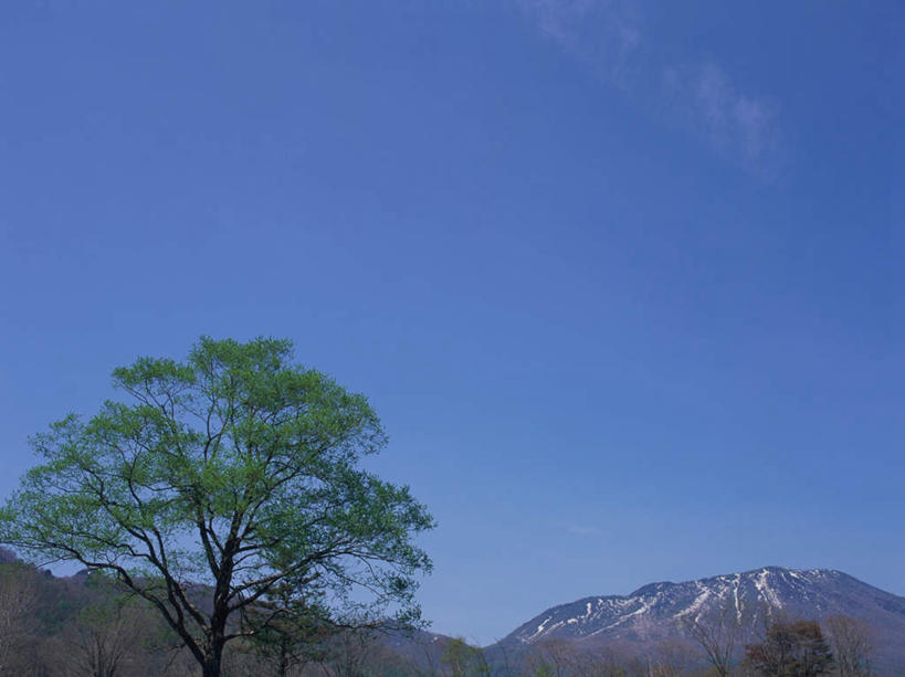 无人,横图,室外,白天,正面,旅游,度假,石头,美景,森林,山,树林,雪,雪山,植物,大雪,长野县,日本,亚洲,阴影,光线,石子,影子,冰,积雪,景观,山顶,山峰,雪景,云,云朵,冬季,冬天,山峦,云彩,娱乐,树,树木,蓝色,绿色,白云,蓝天,天空,阳光,自然,天,享受,休闲,景色,放松,寒冷,生长,晴朗,成长,冰冷,自然风光,东亚,沉积岩,本州,本州岛,日本国,中部地方,长野,严寒,冰凉,酷寒,凛冽,凛凛,极冷,颠峰,极峰,水成岩,冈谷,石块,岩石,晴空,彩图