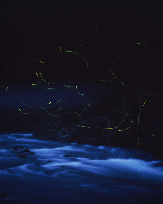 无人,竖图,室外,夜晚,正面,长时间曝光,旅游,度假,河流,美景,水,日本,亚洲,许多,昆虫,河水,景观,水流,娱乐,小溪,自然,动物,溪水,享受,休闲,景色,放松,自然风光,益虫,萤火虫,东亚,日本国,彩图,全身