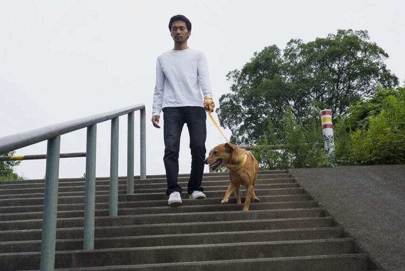 东方人,一个人,栏杆,站,横图,室外,白天,仰视,楼梯,宠物,狗,亚洲,仅一个男性,仅一个人,握,服装,扶手,阶梯,休闲装,黄种人,护栏,台阶,仅一个年轻男性,一只,衣服,动物,站着,休闲,休闲服,可爱,握着,服饰,牵引绳,忠诚,男人,男性,年轻男性,亚洲人,犬,站立,彩图,低角度拍摄,全身