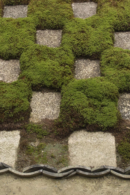 无人,竖图,俯视,室外,白天,旅游,度假,草地,草坪,美景,植物,京都,日本,亚洲,许多,瓷砖,地砖,方格,格子,瓦片,景观,苔藓,地面,娱乐,草,排列,绿色,自然,享受,休闲,景色,放松,京都府,队列,自然风光,东亚,本州,本州岛,日本国,近畿地方,近畿,东福寺,彩图,高角度拍摄