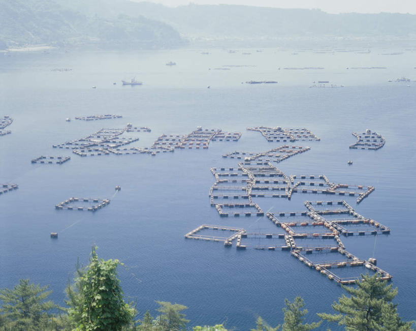 无人,横图,俯视,航拍,室外,白天,旅游,度假,渔业,海浪,海洋,美景,森林,树林,植物,鹿儿岛,日本,亚洲,许多,波纹,飞溅,溅,液体,景观,浪花,云,云朵,养殖,云彩,娱乐,树,树木,蓝色,绿色,白云,蓝天,水纹,天空,自然,海水,船尾波,波浪,天,享受,休闲,景色,放松,生长,成长,鸟瞰,喷洒,自然风光,海景,东亚,日本国,九州本岛,九州,九州岛,九州地方,鹿儿岛县,大海,风浪,海,海水的波动,近岸浪,涌浪,彩图,高角度拍摄