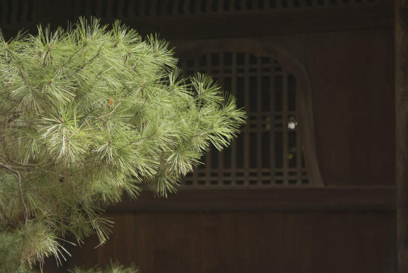 无人,寺庙,横图,室外,夜晚,正面,旅游,度假,植物,标志建筑,地标,建筑,松树,京都,日本,亚洲,节日,墙,文化,娱乐,建设,墙壁,墙面,树,树木,绿色,自然,庙宇,祈祷,享受,休闲,健康,旅游胜地,放松,许愿,宗教,佛教,信仰,京都府,生长,成长,纪念,祈求,坚定,东亚,本州,本州岛,日本国,近畿地方,大德寺,近畿,长寿,贞洁,释教,平安,彩图,庙,寺