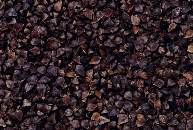 无人,农田,横图,俯视,室外,白天,庄稼,农作物,一堆,许多,堆叠,堆积,谷物,麦田,荞麦,堆,彩图,高角度拍摄,耕地,庄稼田