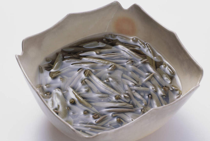 无人,横图,俯视,室外,特写,白天,白色背景,蔬菜,新鲜,陶瓷,食品,陶瓷制品,食物,容器,碗,海藻,摄影,有机食品,绿色食品,影棚,储藏,海草,储存,彩图,高角度拍摄,影棚拍摄,拍摄,贮存