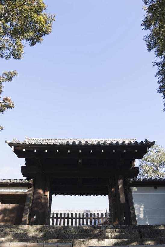 无人,寺庙,栏杆,竖图,室外,白天,正面,旅游,度假,树林,植物,楼梯,门,标志建筑,地标,建筑,京都,日本,亚洲,节日,阶梯,建筑群,围栏,文化,娱乐,建设,护栏,台阶,树,树木,蓝色,绿色,蓝天,天空,自然,门框,庙宇,天,祈祷,享受,休闲,健康,放松,许愿,宗教,佛教,信仰,京都府,生长,成长,纪念,祈求,东亚,本州,本州岛,日本国,近畿地方,近畿,释教,曼殊院,左京区,平安,彩图,庙,寺