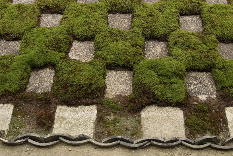 无人,横图,俯视,室外,白天,旅游,度假,石头,标志建筑,地标,建筑,京都,日本,亚洲,石子,建筑群,苔藓,娱乐,建设,享受,休闲,放松,京都府,东亚,本州,本州岛,日本国,近畿地方,近畿,东福寺,东山区,石块,岩石,彩图,高角度拍摄