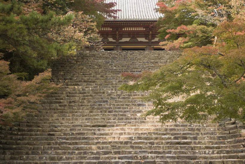 无人,寺庙,横图,室外,白天,仰视,旅游,度假,植物,楼梯,标志建筑,地标,建筑,京都,日本,亚洲,节日,阶梯,建筑群,文化,娱乐,建设,台阶,树,树木,绿色,自然,庙宇,祈祷,享受,休闲,健康,放松,许愿,宗教,佛教,信仰,京都府,生长,成长,纪念,祈求,东亚,本州,本州岛,日本国,近畿地方,近畿,释教,神护寺,右京区,平安,彩图,低角度拍摄,庙,寺