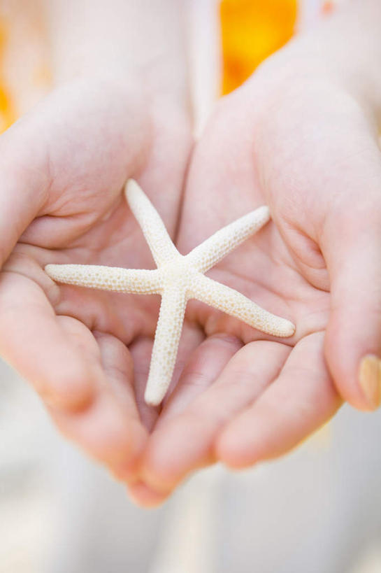 东方人,一个人,站,捧,竖图,俯视,室外,特写,白天,海星,亚洲,仅一个年轻女性,仅一个女性,仅一个人,朦胧,模糊,黄种人,海洋生物,一个,自然,动物,站着,日本人,生物,单个,棘皮动物门,年轻女性,女人,女性,亚洲人,星鱼,端,端着,捧着,手捧,站立,半身,彩图,高角度拍摄