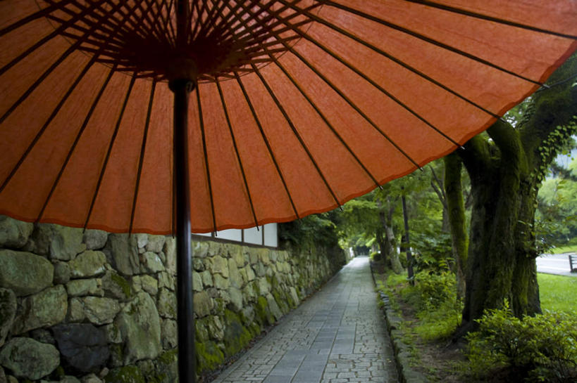 无人,横图,室外,白天,正面,草地,草坪,植物,道路,路,日本,亚洲,一把,日本文化,伞,墙,小路,交通,油纸伞,墙壁,墙面,草,树,树木,绿色,自然,生长,成长,东亚,本州,本州岛,日本国,近畿地方,近畿,滋贺,滋贺县,彩图,传统文化