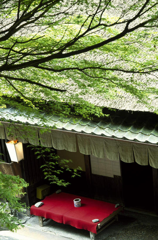 无人,竖图,俯视,室外,白天,旅游,度假,美景,植物,叶子,椅子,京都,日本,亚洲,悬挂,灯笼,景观,绿叶,娱乐,座椅,树,树木,绿色,自然,享受,休闲,嫩叶,景色,放松,京都府,生长,成长,自然风光,东亚,照明工具,本州,本州岛,日本国,近畿地方,近畿,嵯峨野,叶,叶片,彩图,高角度拍摄