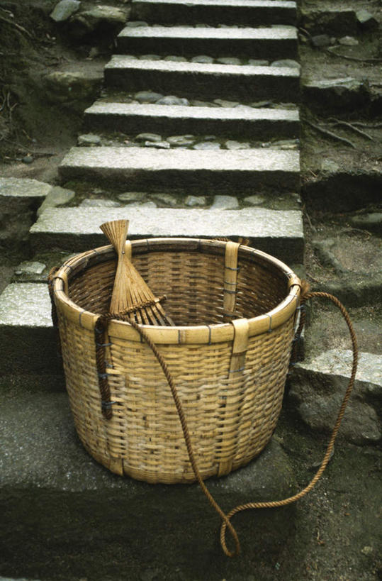 无人,交叉,竖图,俯视,室外,白天,旅游,度假,美景,楼梯,竹子,京都,日本,亚洲,竹制,编织,篮子,阶梯,景观,娱乐,台阶,自然,竹篮,享受,休闲,景色,放松,京都府,竹条,交织,竹制品,自然风光,东亚,本州,本州岛,日本国,近畿地方,近畿,穿插,彩图,高角度拍摄