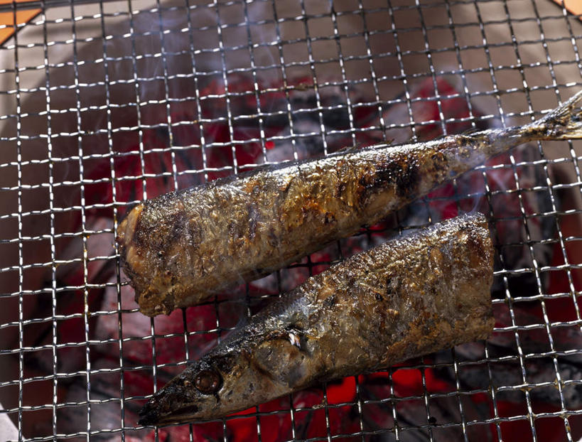 海鲜,无人,横图,俯视,室内,特写,白天,烹饪,烧烤,热情,雾,火,沸腾,蒸汽,秋刀鱼,火焰,肉,鱼肉,日本料理,料理,食品,烤架,水蒸气,烤肉,燃烧,水产,菜肴,美食,肉类,食物,日式料理,日式,铁架,佳肴,海产品,肉食,碳,蒸发,彩图,高角度拍摄