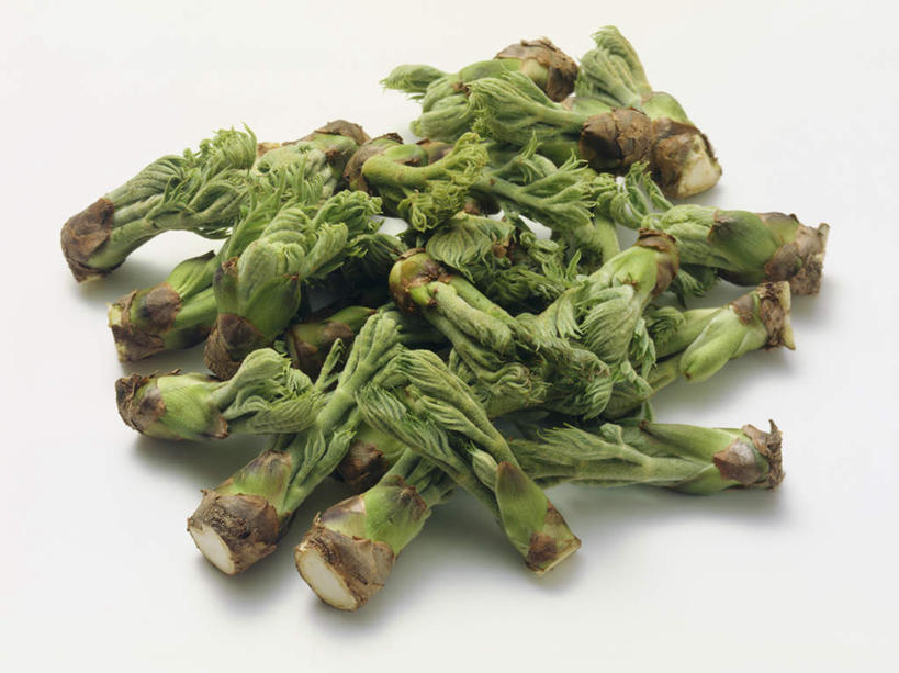 无人,横图,俯视,室内,特写,白天,白色背景,蔬菜,椰菜,卷心菜,新鲜,食品,食物,甘蓝,摄影,有机食品,绿色食品,抱子甘蓝,芽甘蓝,影棚,球芽甘蓝,子持甘蓝,结球甘蓝,甘兰,包心菜,彩图,高角度拍摄,影棚拍摄,拍摄