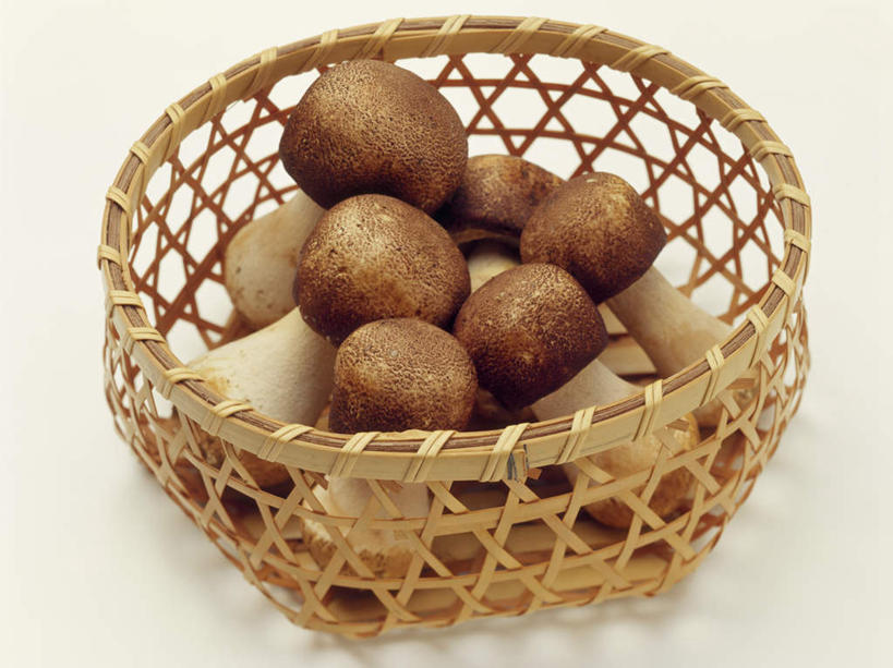 无人,交叉,横图,俯视,室内,特写,白天,白色背景,竹子,蔬菜,竹制,新鲜,编织,篮子,菌菇,蘑菇,食品,菌类,食物,一个,竹篮,食用菌,摄影,有机食品,绿色食品,影棚,单个,竹条,交织,竹制品,白蘑菇,洋蘑菇,双孢蘑菇,穿插,彩图,高角度拍摄,影棚拍摄,拍摄