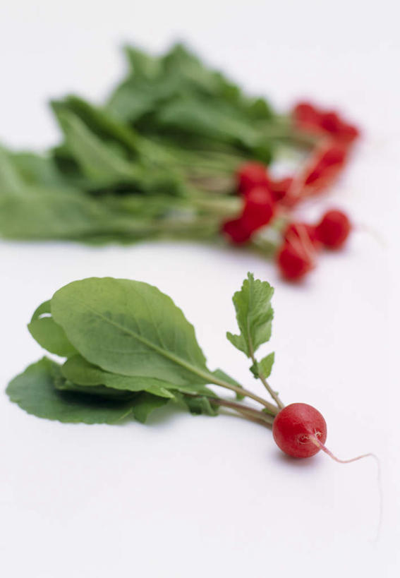 无人,竖图,俯视,室内,特写,白天,白色背景,萝卜,蔬菜,一堆,许多,堆叠,堆积,朦胧,模糊,新鲜,食品,食物,摄影,有机食品,绿色食品,影棚,水萝卜,堆,彩图,高角度拍摄,影棚拍摄,拍摄