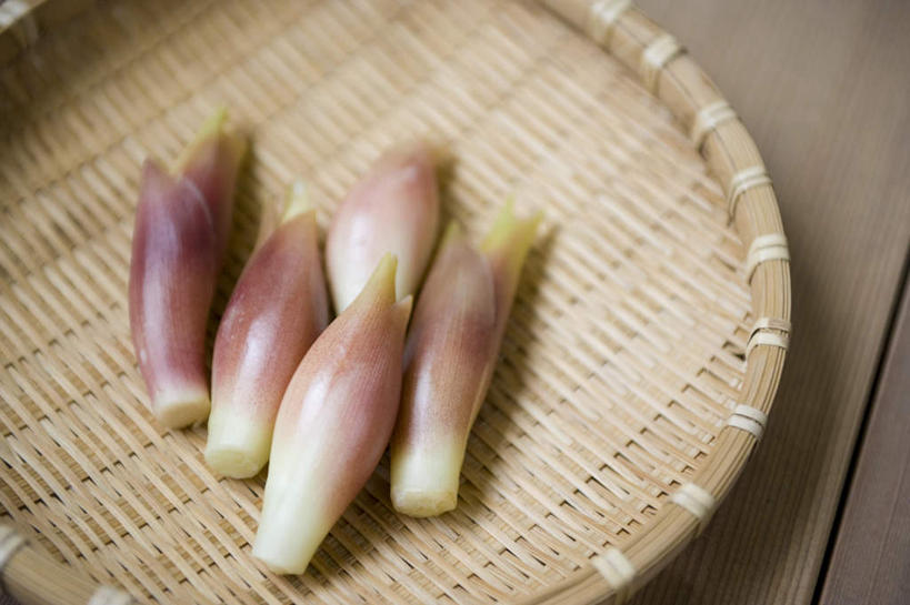 无人,交叉,横图,俯视,室内,特写,白天,烹饪,竹子,竹制,朦胧,模糊,编织,篮子,日本料理,料理,食品,菜肴,美食,食物,竹篮,日式料理,日式,佳肴,竹条,交织,竹制品,日本姜,穿插,彩图,高角度拍摄