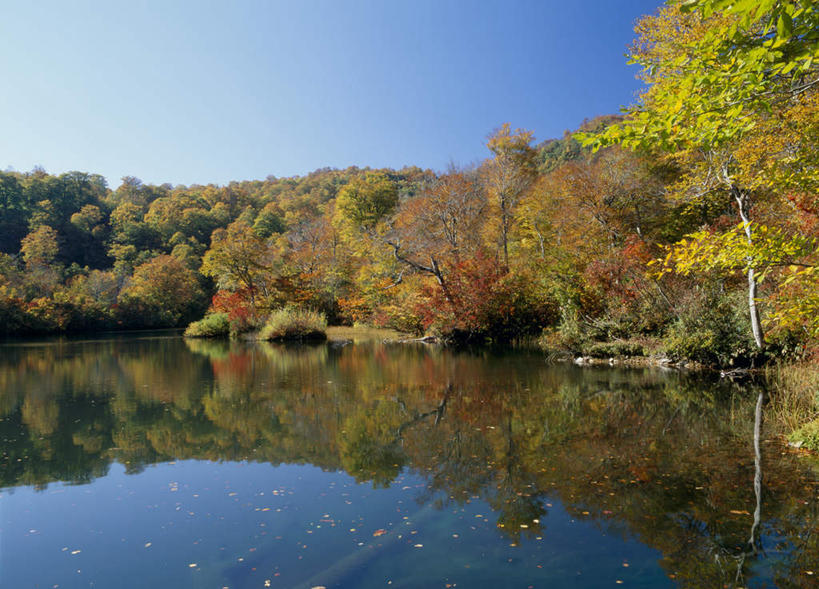 无人,横图,室外,白天,正面,旅游,度假,河流,美景,秋季,森林,树林,水,植物,叶子,长野县,日本,亚洲,河水,景观,水流,绿叶,娱乐,树,树木,红色,蓝色,绿色,蓝天,天空,自然,天,享受,休闲,嫩叶,景色,放松,生长,晴朗,成长,自然风光,东亚,本州,万里无云,本州岛,日本国,中部地方,长野,北安,北安昙郡,叶,叶片,晴空,晴空万里,秋,秋天,彩图