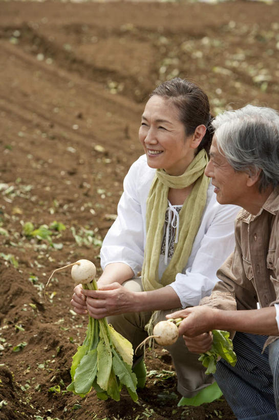 东方人,两个人,夫妻,农田,坐,笑,微笑,露齿笑,竖图,室外,白天,正面,爱情,庄稼,萝卜,白萝卜,蔬菜,亚洲,浪漫,拿,拿着,注视,黄种人,观察,看,日本人,恩爱,恋人,观看,察看,关注,老年男性,老年女性,男人,男性,女人,女性,亚洲人,情侣,莱菔,坐着,半身,彩图,耕地,庄稼田,伴侣