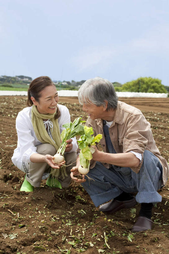 东方人,两个人,夫妻,农田,蹲,笑,微笑,露齿笑,竖图,室外,白天,正面,爱情,庄稼,蔬菜,椰菜,卷心菜,亚洲,丰富,丰收,新鲜,食品,丰盛,浪漫,注视,黄种人,相视,食物,观察,看,面对面,日本人,恩爱,恋人,有机食品,绿色食品,观看,对视,察看,关注,相对,相看,丰登,丰硕,老年男性,老年女性,男人,男性,女人,女性,亚洲人,情侣,结球甘蓝,甘兰,包心菜,蹲着,彩图,全身,耕地,庄稼田,伴侣