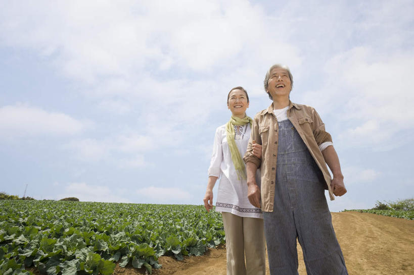 东方人,两个人,夫妻,农田,站,握手,横图,室外,白天,正面,爱情,庄稼,叶子,亚洲,绿叶,浪漫,注视,黄种人,观察,看,站着,日本人,嫩叶,恩爱,恋人,观看,察看,关注,老年男性,老年女性,男人,男性,女人,女性,亚洲人,情侣,叶,叶片,搀手,拉手,手拉手,手握手,站立,半身,彩图,耕地,庄稼田,伴侣