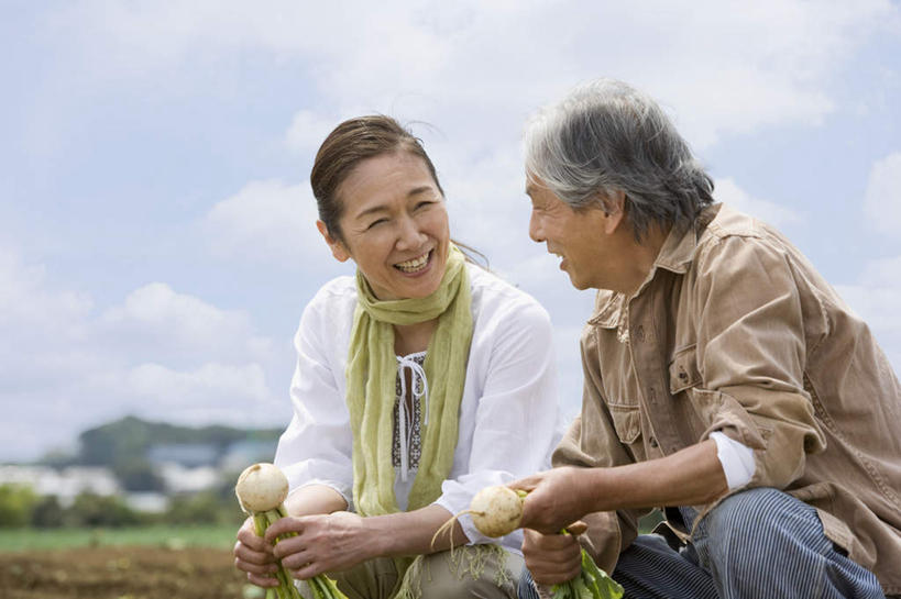 东方人,两个人,农田,坐,笑,微笑,露齿笑,横图,室外,白天,正面,庄稼,萝卜,白萝卜,蔬菜,亚洲,阴影,光线,影子,云,云朵,拿,云彩,拿着,注视,黄种人,蓝色,白云,蓝天,天空,阳光,天,观察,看,日本人,观看,察看,关注,老年男性,老年女性,男人,男性,女人,女性,亚洲人,莱菔,坐着,半身,彩图,耕地,庄稼田