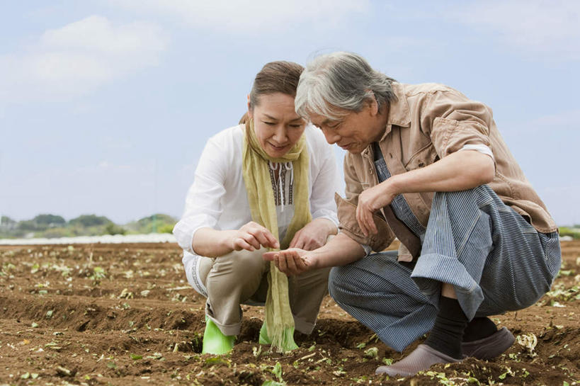 东方人,手,两个人,夫妻,农田,蹲,捧,说,横图,室外,白天,正面,爱情,庄稼,亚洲,泥土,云,云朵,浪漫,云彩,注视,黄种人,蓝色,白云,蓝天,天空,天,低头,观察,看,日本人,手部,恩爱,恋人,晴朗,观看,察看,关注,交流,老年男性,老年女性,男人,男性,女人,女性,亚洲人,情侣,晴空,端,端着,蹲着,沟通,讲话,交谈,捧着,手捧,说话,谈话,彩图,全身,耕地,庄稼田,伴侣
